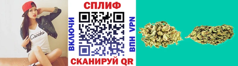 Где купить наркотики Володарск Alpha-PVP  Галлюциногенные грибы  ГАШИШ  Конопля  COCAIN 