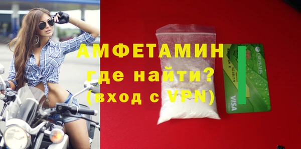 прущие грибы Богданович