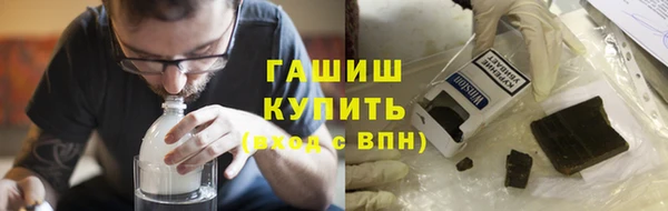 прущие грибы Богданович