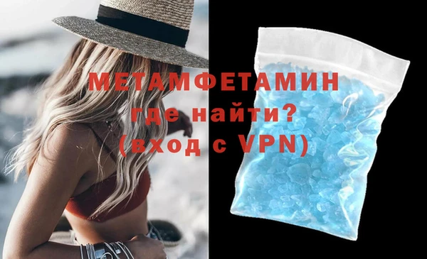 прущие грибы Богданович