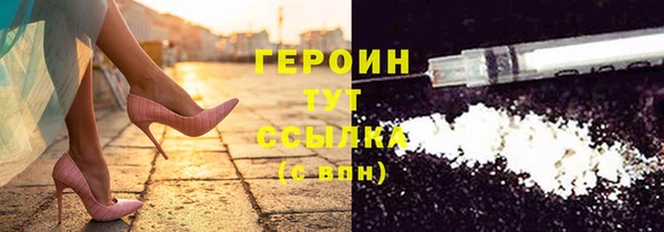 прущие грибы Богданович