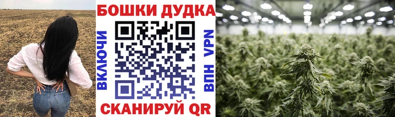 Канабис ГИДРОПОН  Володарск 